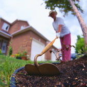 lady gardening